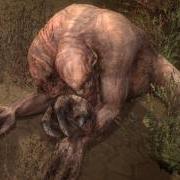 large_stalker-call of pripyat-himera.jpg