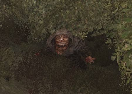 stalker-call of pripyat-burer.jpg